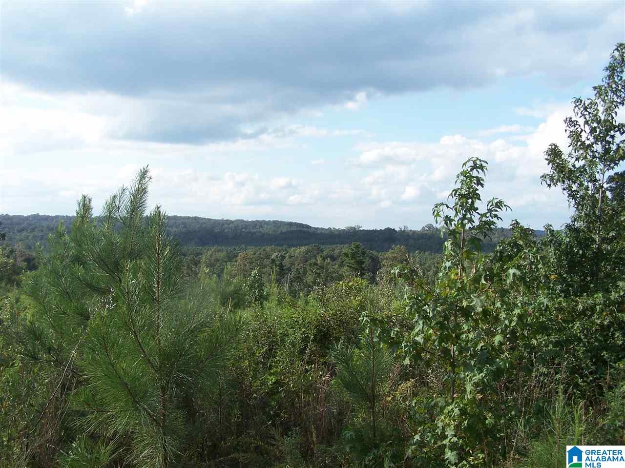 0 Jackson Trail, Unit 140 ACRES Altoona, AL 35952 - Photo 38 of 50