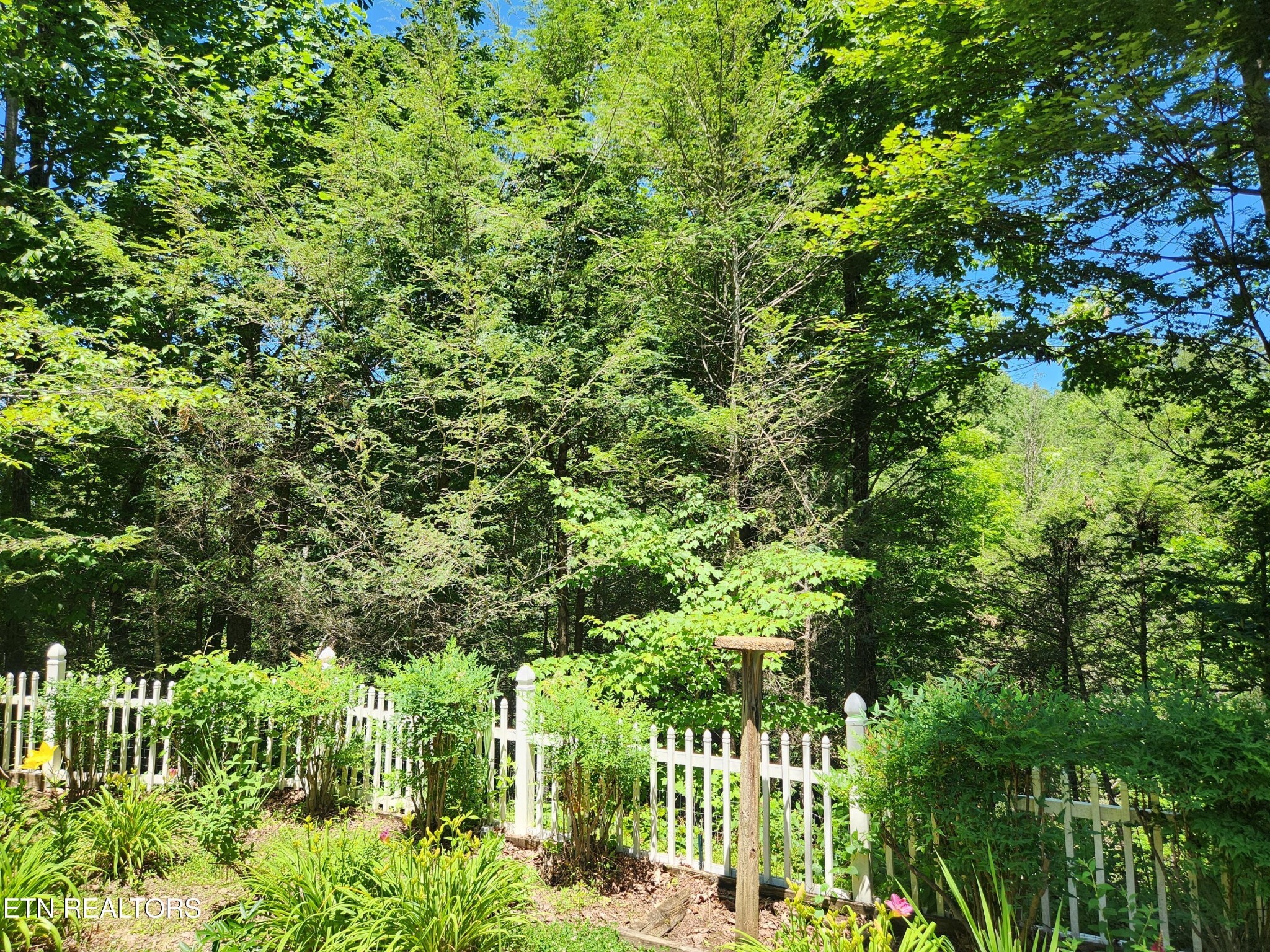 4442 Grindstone Ridge Road Pigeon Forge, TN 37863 - Photo 23 of 33 Gallery Image 23