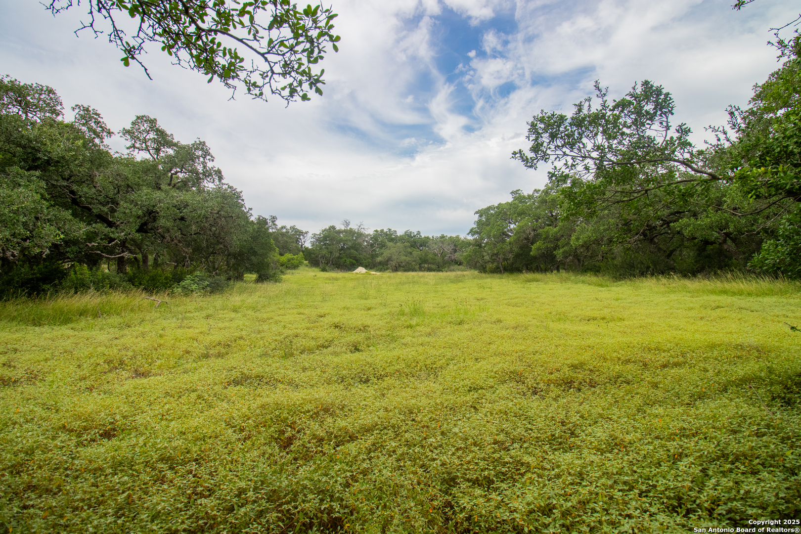 a view of a lake view with a big yard