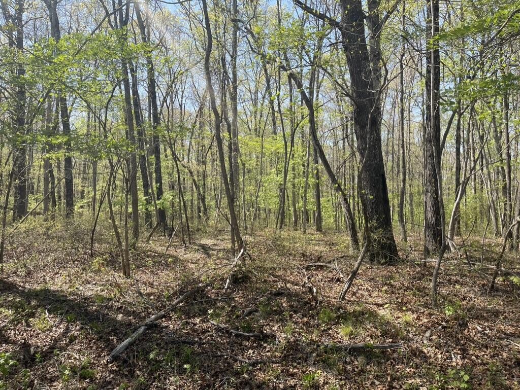 60 Hideaway Cabin Road Altamont, TN 37301 - Photo 27 of 31 Gallery Image 27
