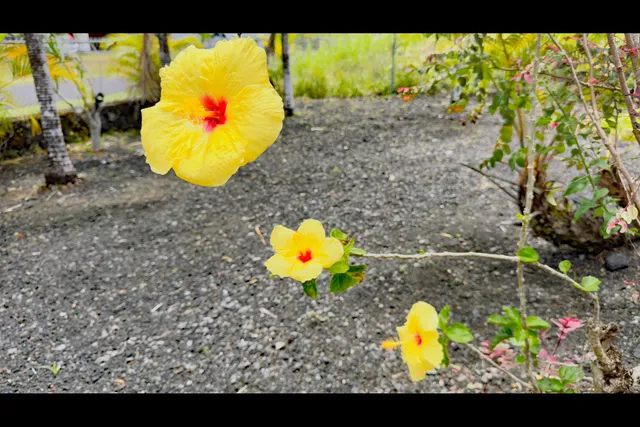 a view of an outdoor space and a swimming pool
