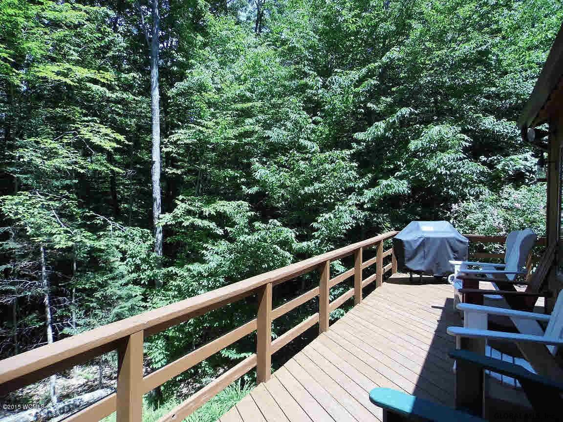 96 Ruby Mountain Road North River, NY 12856 - Photo 7 of 45 Photo 7