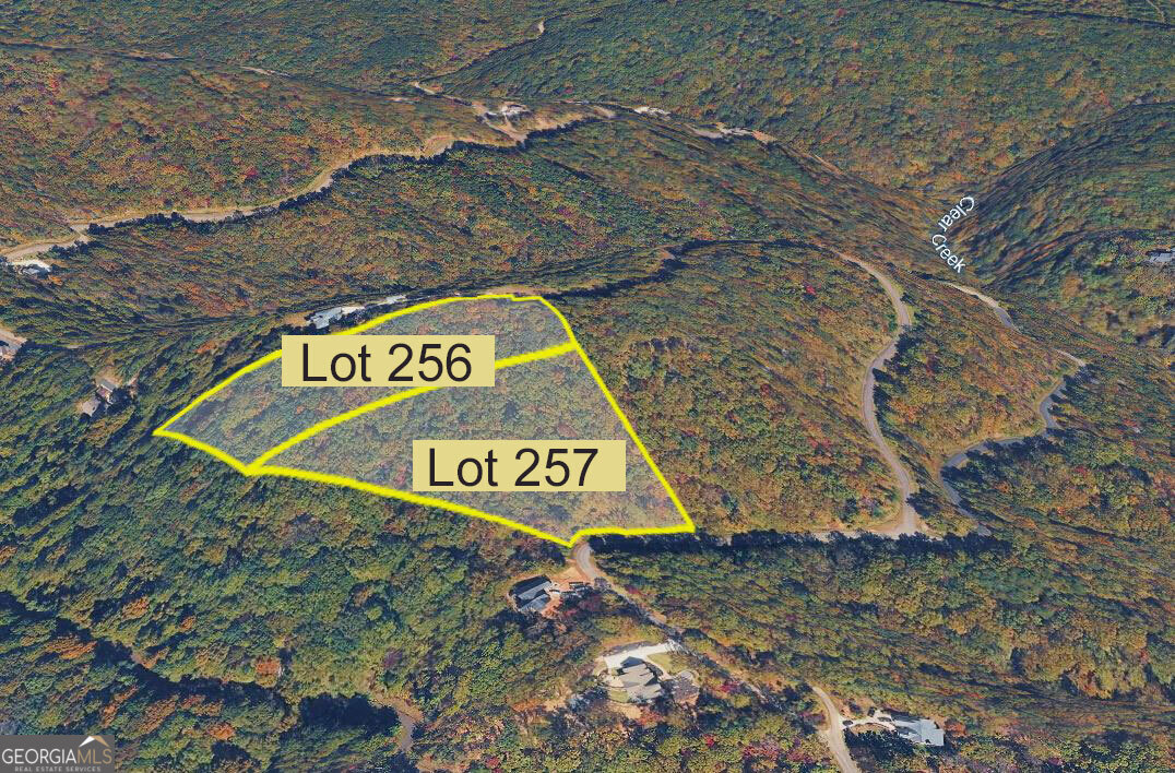 257 Andes Ridge Jasper, GA 30143 - Photo 3 of 28