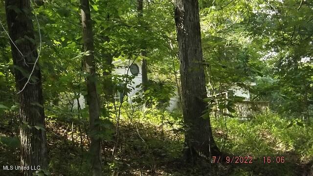 107 Costilow Road Grenada, MS 38901 - Photo 5 of 7 DSCF9416