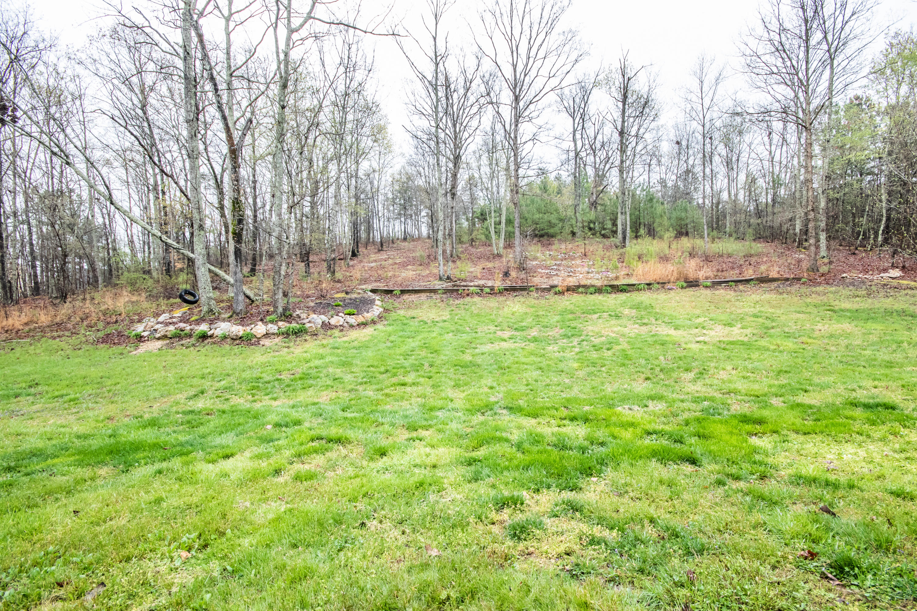 565 Condra Road Ringgold, GA 30736 - Photo 23 of 26 275A6872