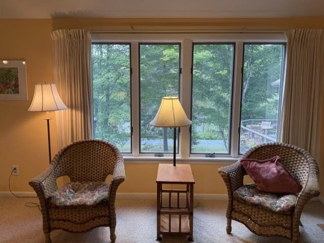 624 Otter Road Grantham, NH 03753 - Photo 10 of 17 Gallery Image 10