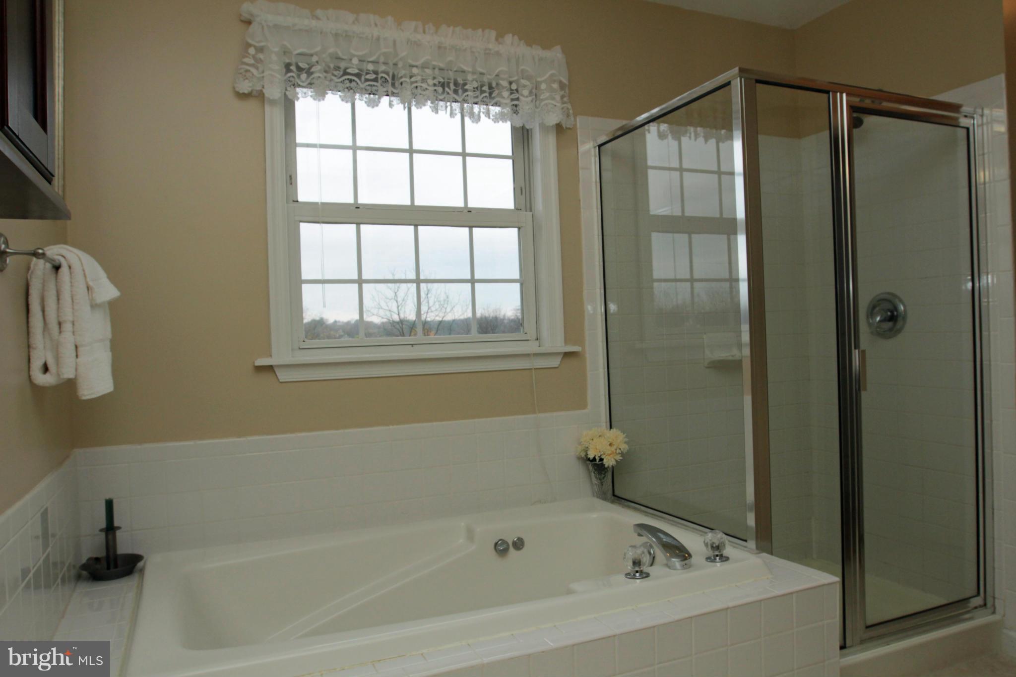 920 Rash Manor Court Westminster, MD 21157 - Photo 18 of 30 Bath (Master)