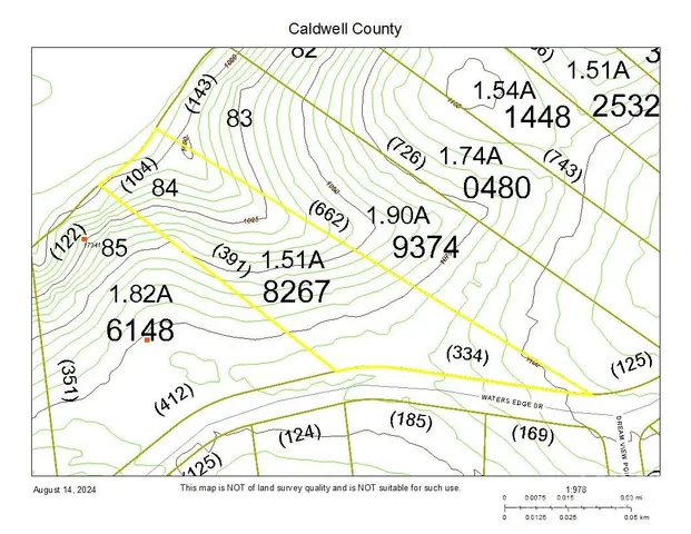 a view of a lake in a forest
