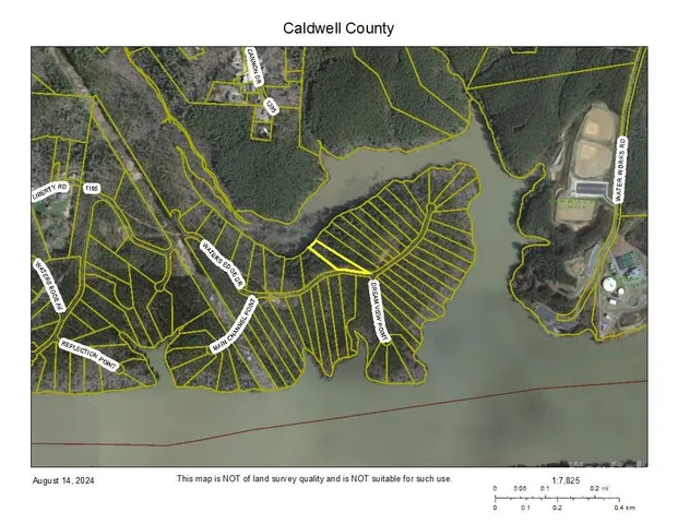 a view of a garden with a tree in the background