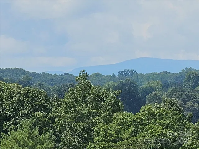 an aerial view of mountain and trees