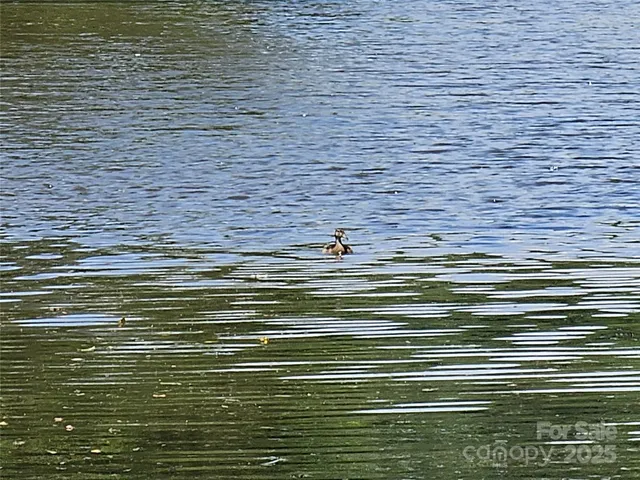 a view of water view