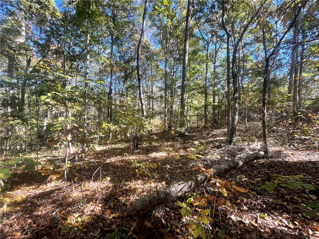 Tract E Vine Road Westminster, SC 29693 - Photo 1 of 11