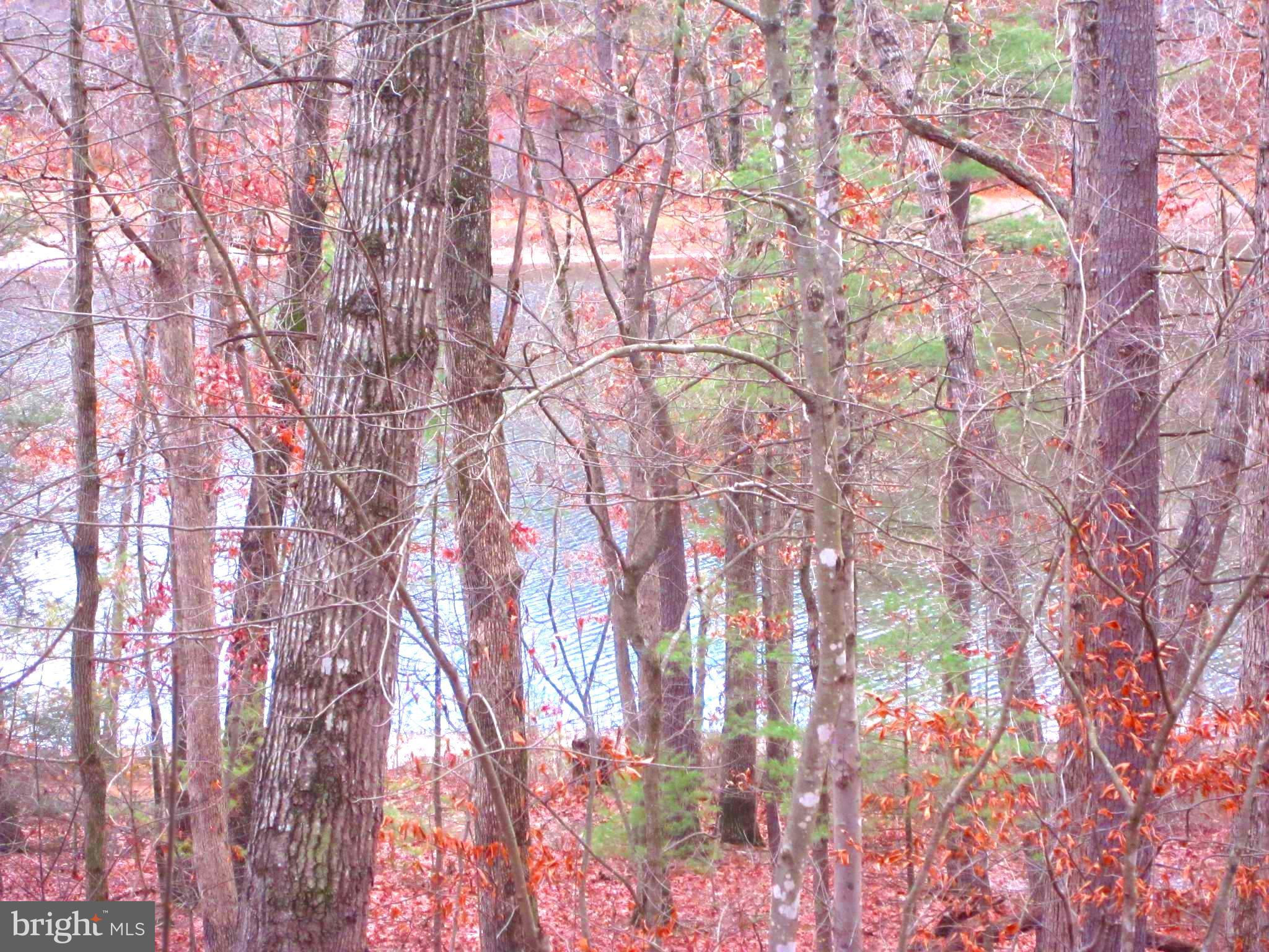 146 Ellis Road Basye, VA 22842 - Photo 34 of 36 View