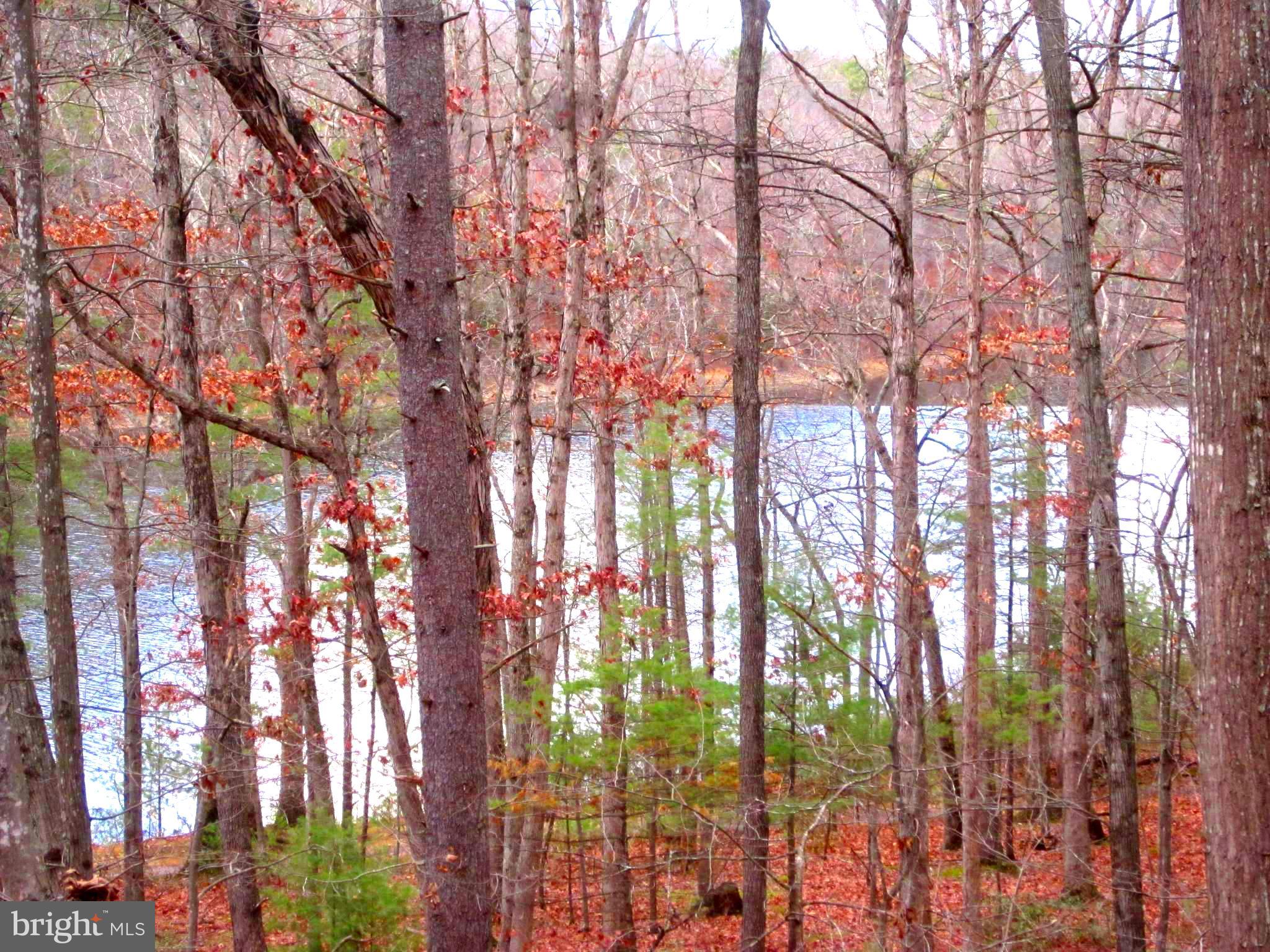 146 Ellis Road Basye, VA 22842 - Photo 4 of 36 View