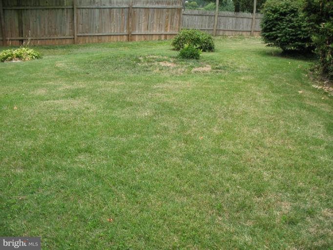 42 Clipper Road Baltimore, MD 21221 - Photo 22 of 29 Backyard 2