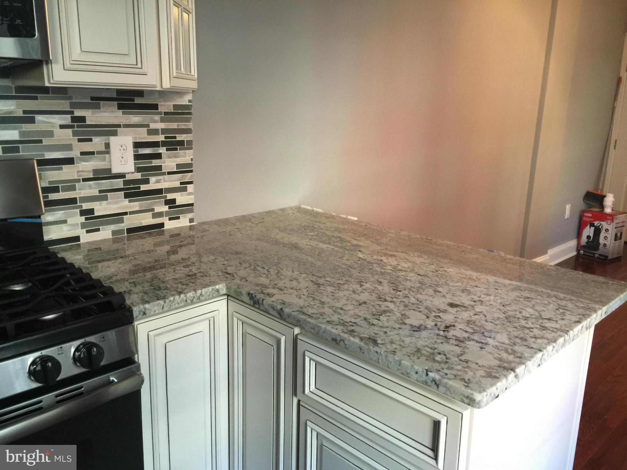1446 Hull Street Baltimore, MD 21230 - Photo 7 of 30 New Back splash and granite countertops