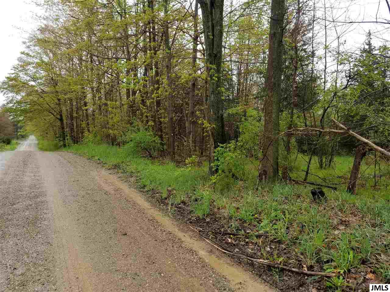 3105 Huff Road Osseo, MI 49266 - Photo 1 of 6 Photo 1