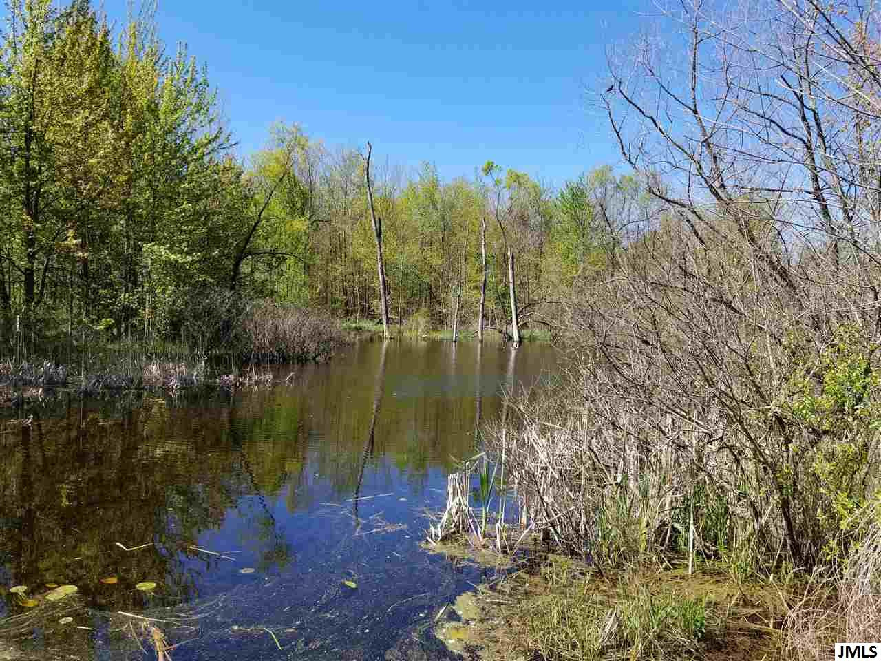 3105 Huff Road Osseo, MI 49266 - Photo 6 of 6 Photo 6
