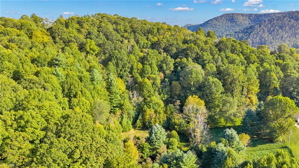 Tbd Mulatto Mountain Road West Jefferson, NC 28694 - Photo 11 of 13