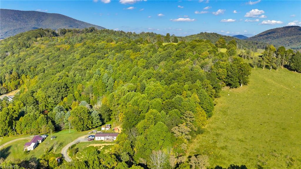 Tbd Mulatto Mountain Road West Jefferson, NC 28694 - Photo 12 of 13