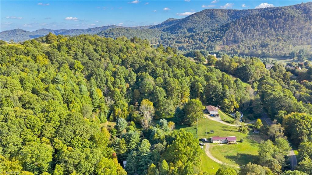 Tbd Mulatto Mountain Road West Jefferson, NC 28694 - Photo 13 of 13