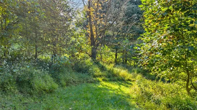 $175,000 | Tbd Mulatto Mountain Road, West Jefferson, NC 28694