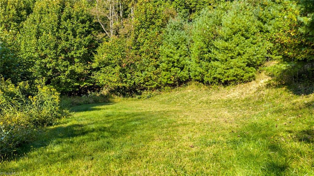 Tbd Mulatto Mountain Road West Jefferson, NC 28694 - Photo 4 of 13