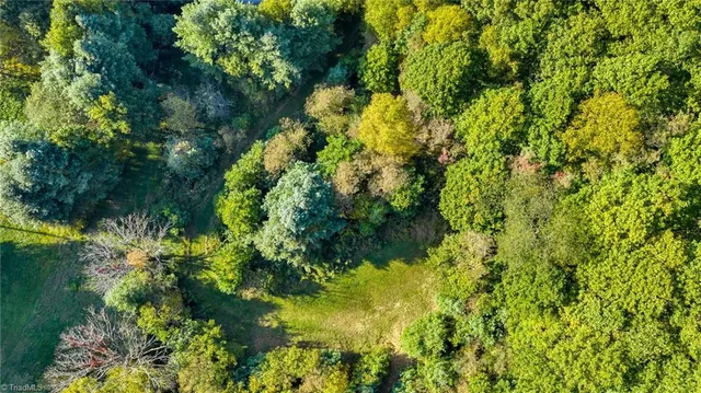 $175,000 | Tbd Mulatto Mountain Road, West Jefferson, NC 28694