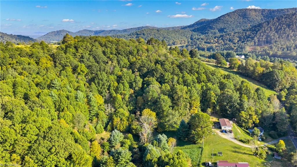 Tbd Mulatto Mountain Road West Jefferson, NC 28694 - Photo 8 of 13