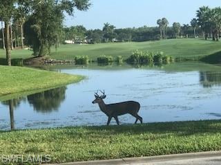 8640 Cedar Hammock Circle, Unit 523 Naples, FL 34112 - Photo 25 of 29 a backyard of a house with lots of green space and lake view