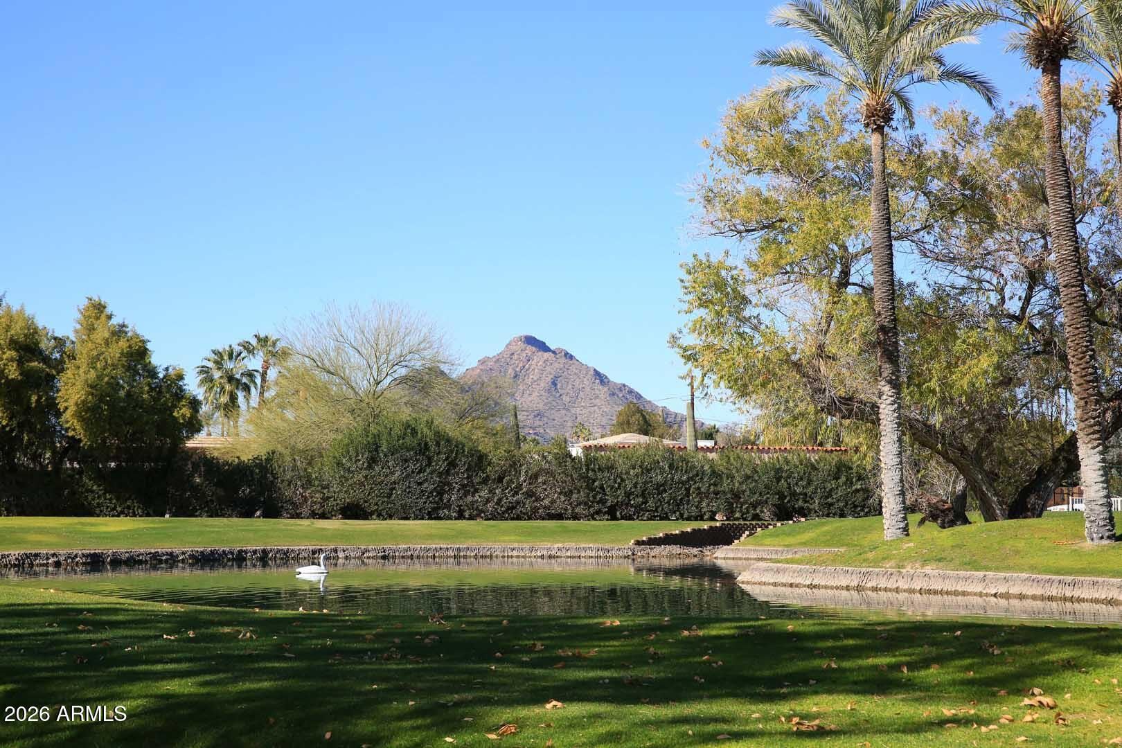 7860 East Camelback Road, Unit 309 Scottsdale, AZ 85251 - Photo 46 of 48 Scottsdale Shadows-Camelback View