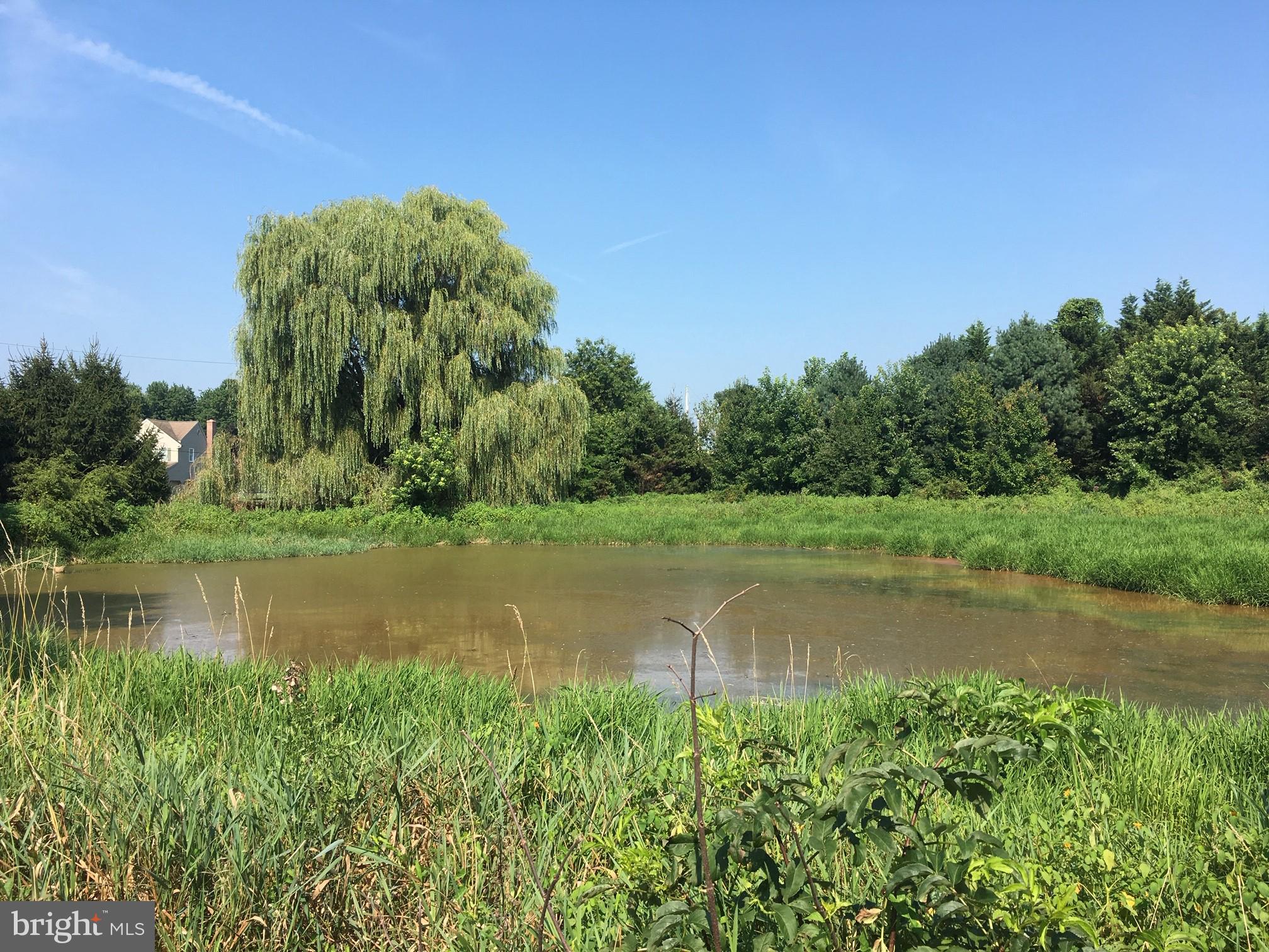 Pond in Front