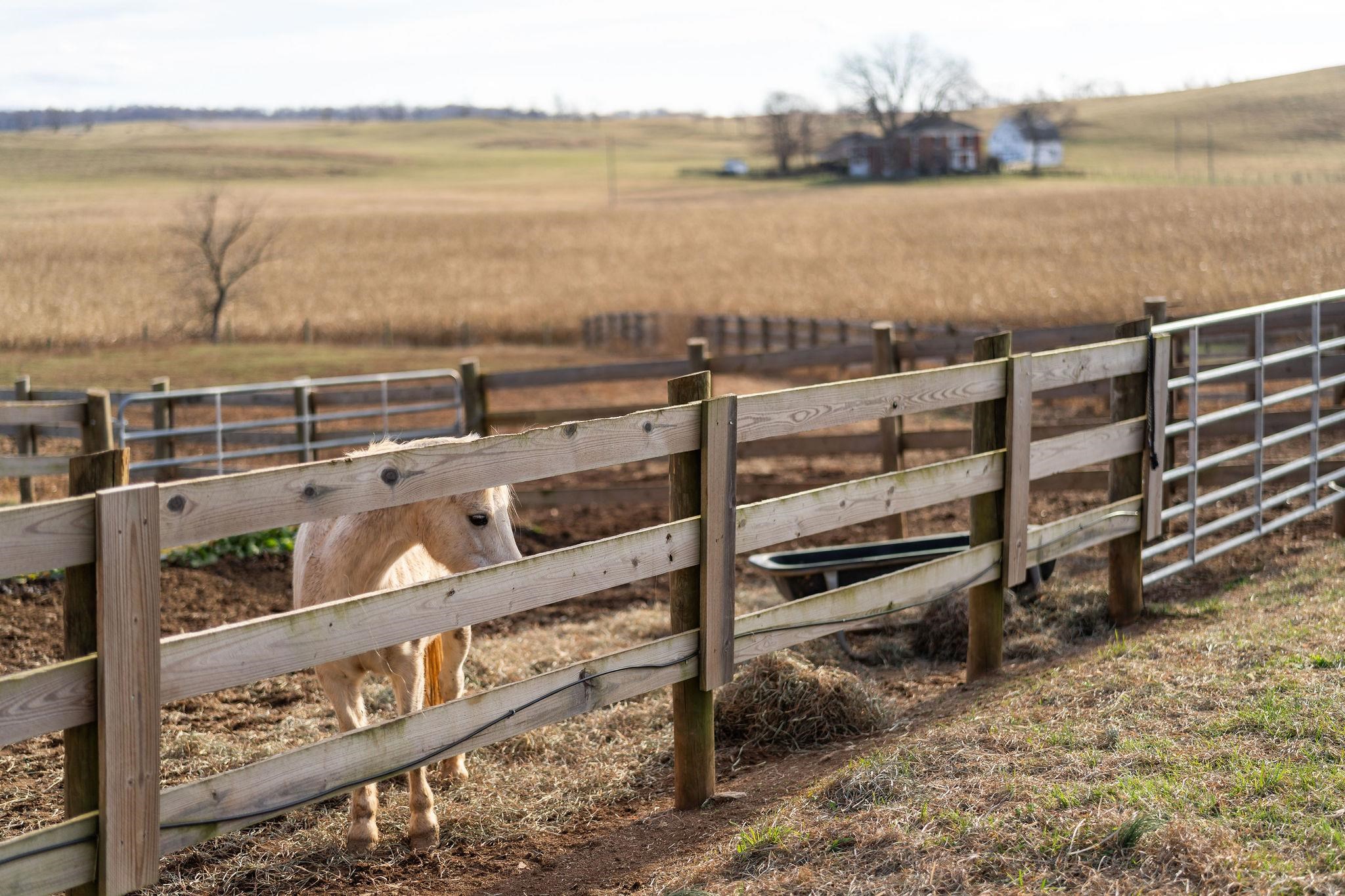 129 Shemariah Road Middlebrook, VA 24459 - Photo 71 of 75