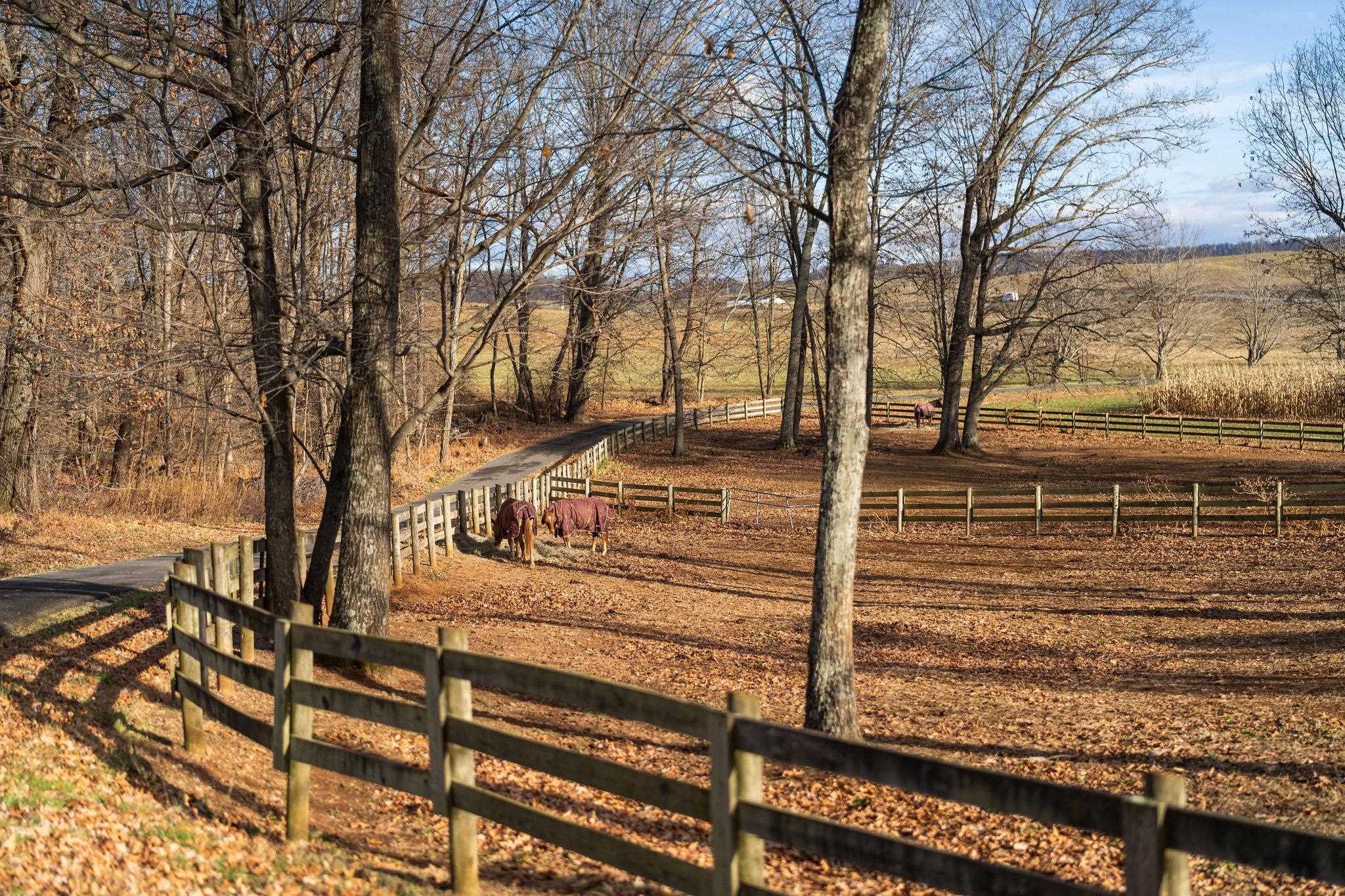 129 Shemariah Road Middlebrook, VA 24459 - Photo 73 of 75