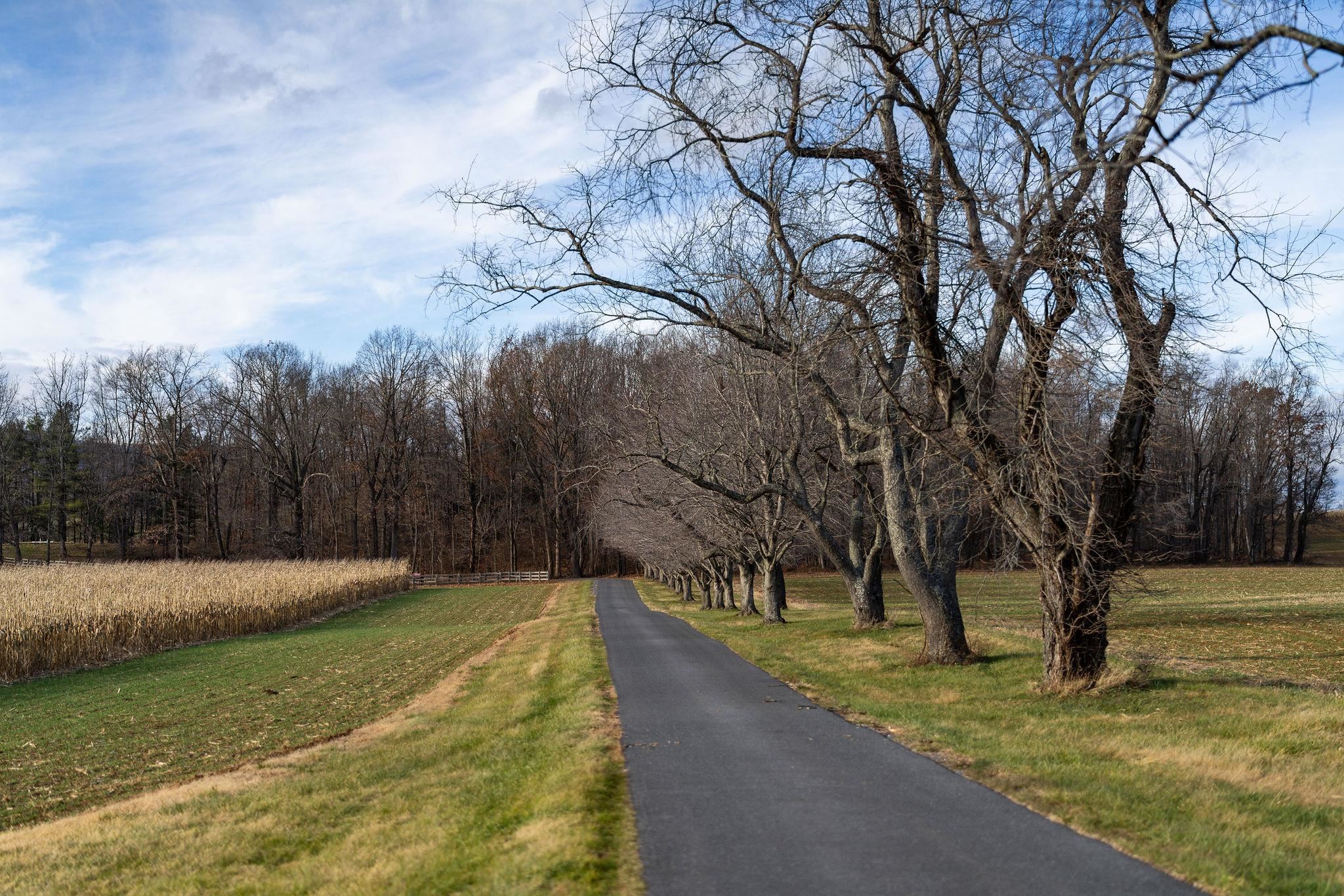 129 Shemariah Road Middlebrook, VA 24459 - Photo 74 of 75
