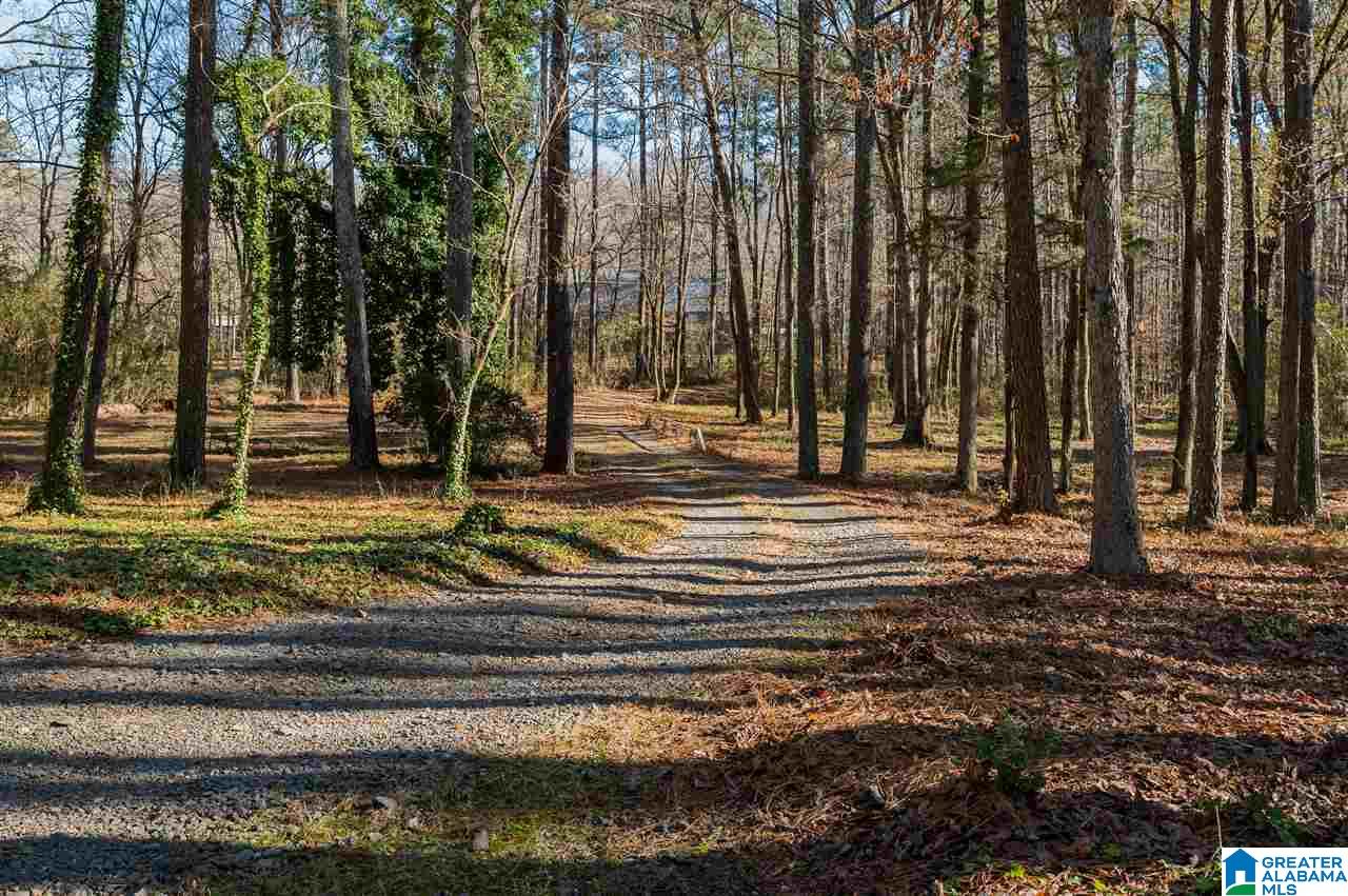 19943 Highway 411 Springville, AL 35146 - Photo 36 of 36