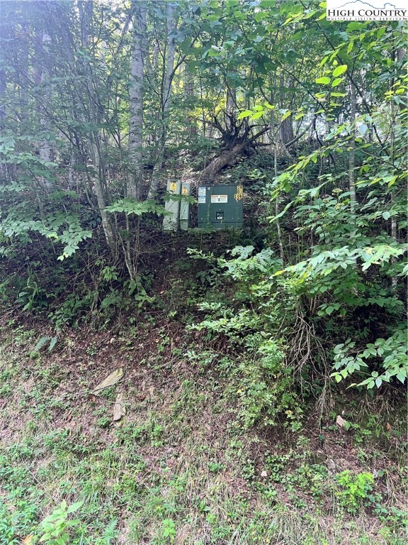 Lot 5 Old Barn Road Vilas, NC 28692 - Photo 3 of 3 a backyard of a house with lots of green space