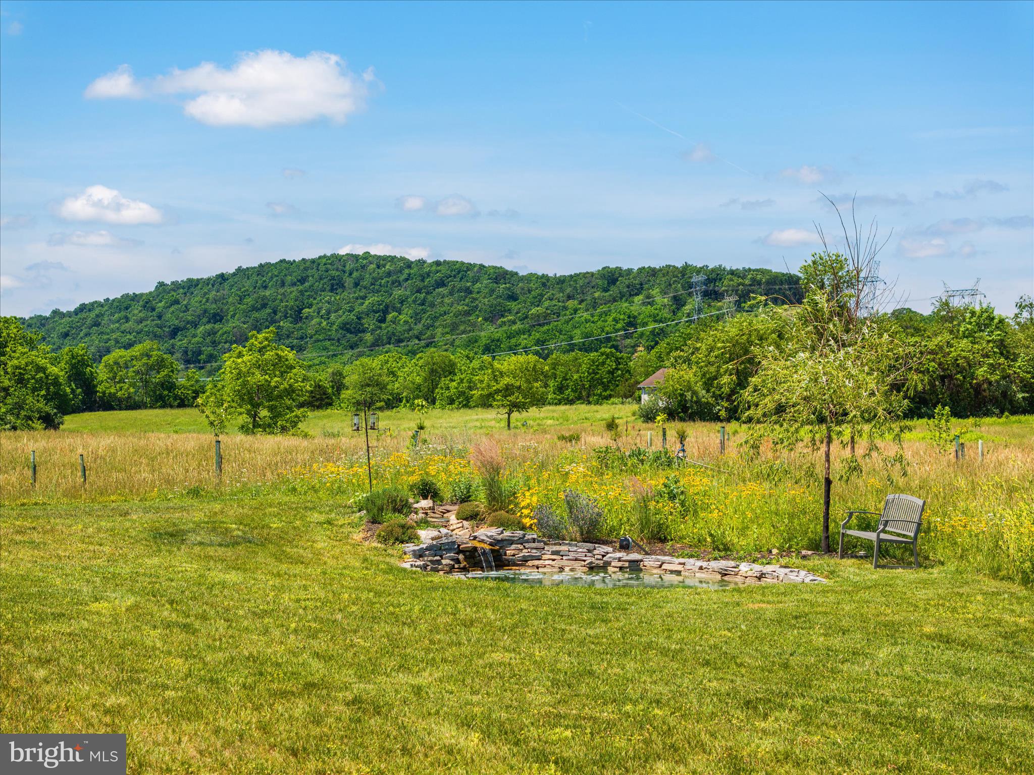 165 Carroll Rdg Lane Winchester, VA 22602 - Photo 71 of 75