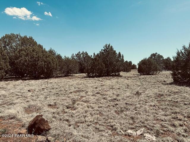 0 West Wild Country Road Seligman, AZ 86337 - Photo 16 of 16 IMG_7002