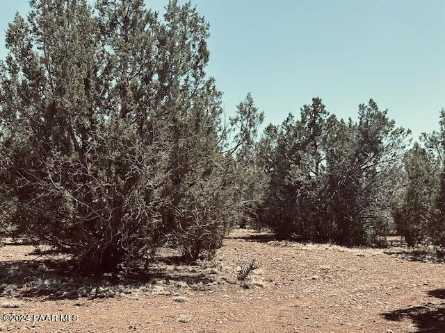 0 West Wild Country Road Seligman, AZ 86337 - Photo 10 of 16 IMG_6990