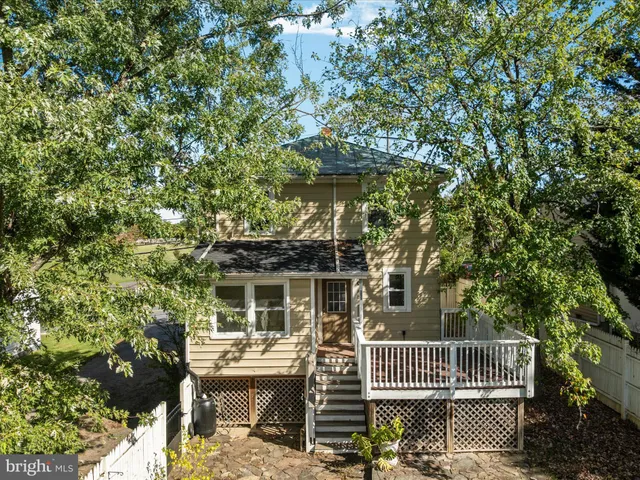 a view of a yard with plants and large trees