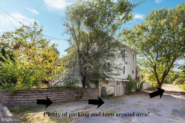 a view of a yard with plants and trees