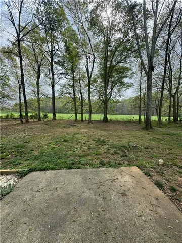 a view of a trees in a park