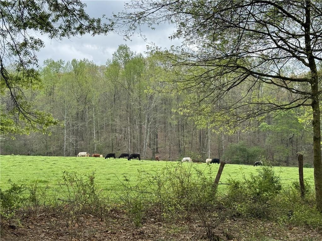 1727 Oak Grove Church Road, Unit B Carrollton, GA 30117 - Photo 2 of 13 a view of yard with small fountain