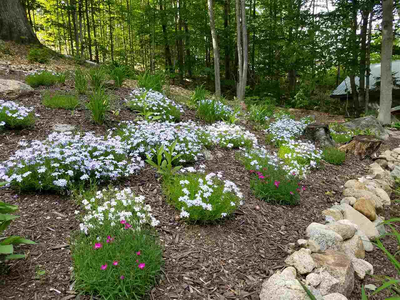 18 Oak Ridge Road Bartlett, NH 03838 - Photo 36 of 39 Gallery Image 36