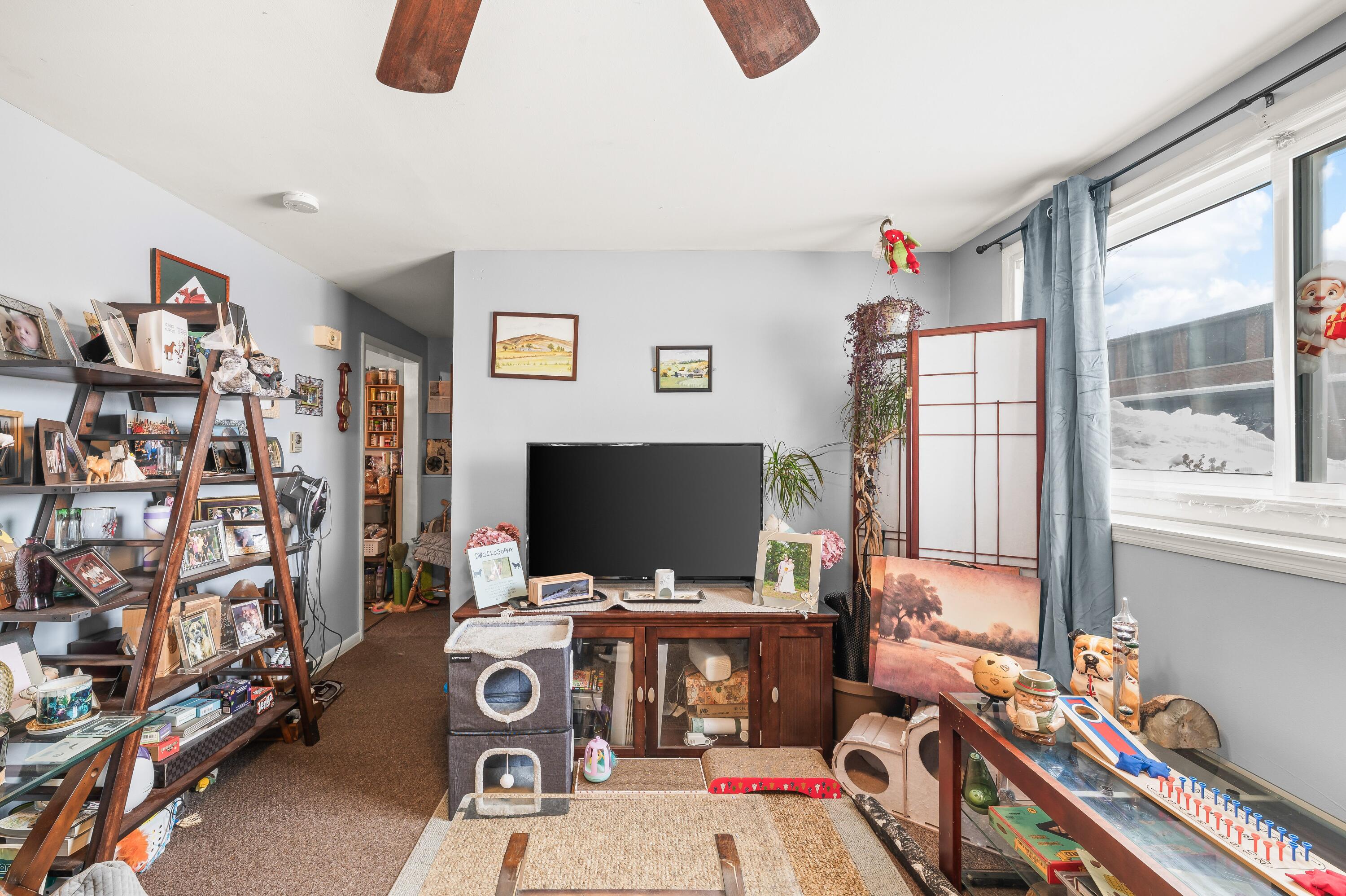 125 South Cayuga Street Buchanan, MI 49107 - Photo 6 of 12 Unit E living room