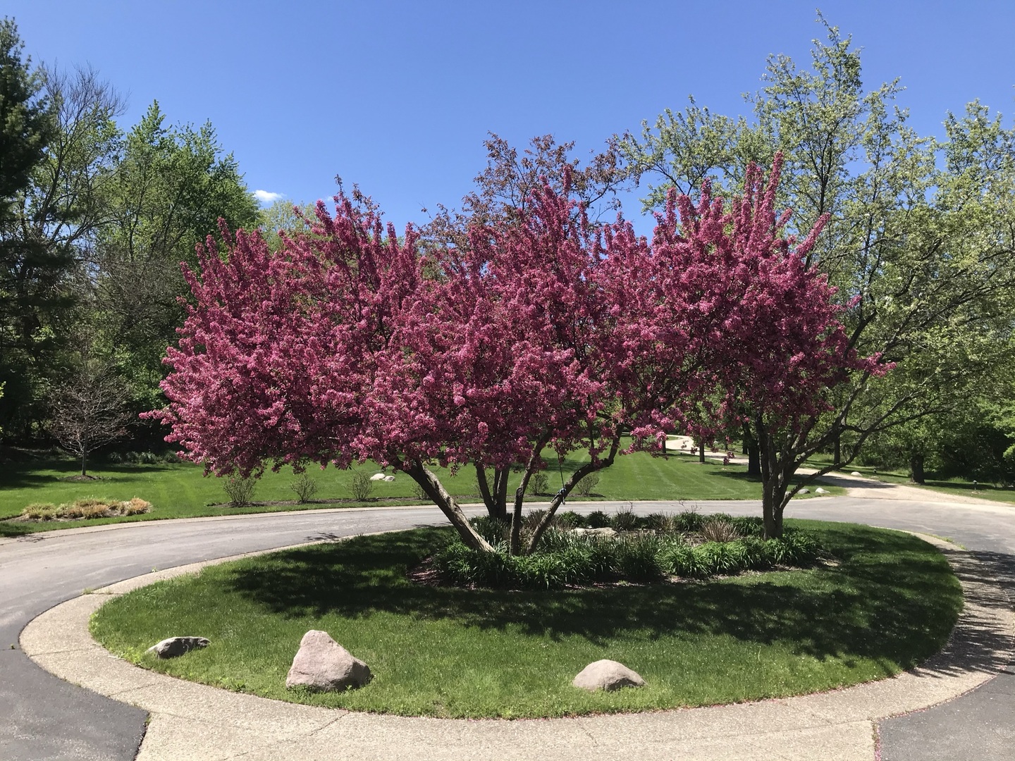 5801 Port Clinton Road Long Grove, IL 60047 - Photo 32 of 38 a view of a garden with a tree