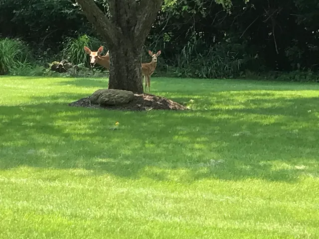 $1,249,900 | 5801 Port Clinton Road, Long Grove, IL 60047