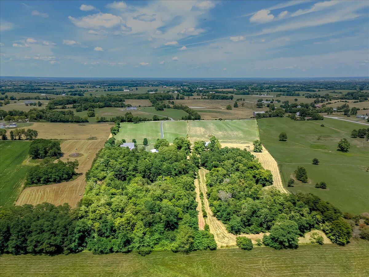 552 Iron Works Road Paris, KY 40361 - Photo 58 of 74 66-6-5