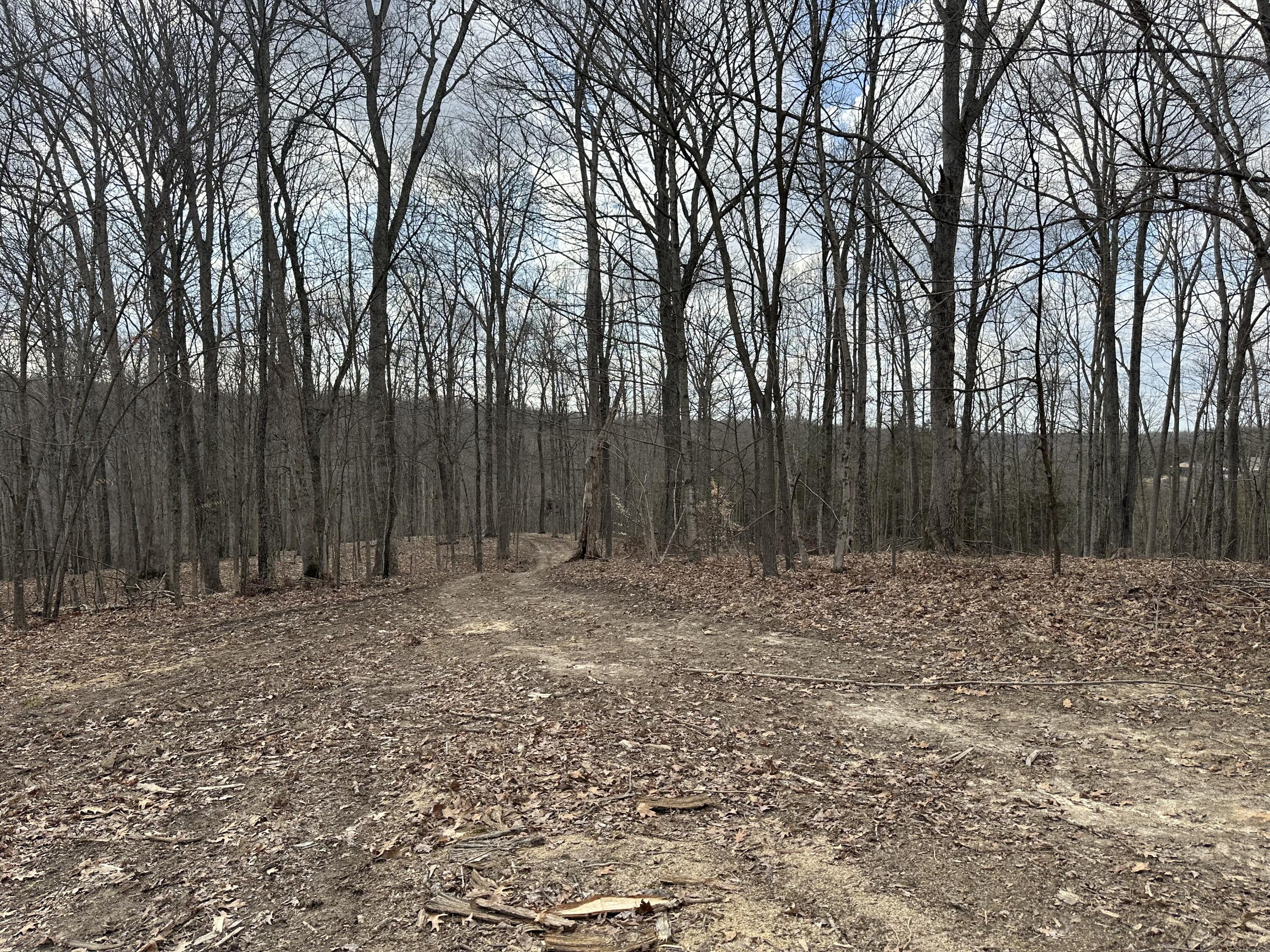 3435 Fox Trail Road Corinth, KY 41010 - Photo 17 of 19